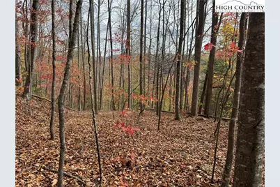 Tbd Globe Road, Lenoir, NC 28645 - Photo 6