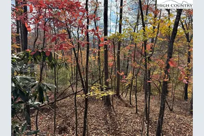 Tbd Globe Road, Lenoir, NC 28645 - Photo 2