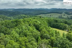 141 Maines Hill Ln, Scottville, NC 28672 - Photo 8