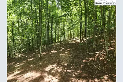 2003 Zacks Fork Road, Lenoir, NC 28645 - Photo 4