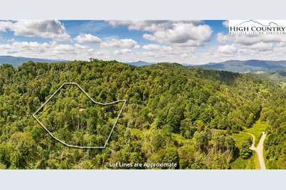 2811 Georges Gap Road, Vilas, NC 28692 - Photo 38