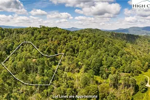 2811 Georges Gap Rd, Vilas, NC 28692 - Photo 38