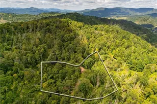 2811 Georges Gap Rd, Vilas, NC 28692 - Photo 36