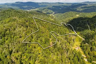 2811 Georges Gap Rd, Vilas, NC 28692 - Photo 1