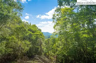 2811 Georges Gap Rd, Vilas, NC 28692 - Photo 4