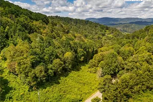 2811 Georges Gap Rd, Vilas, NC 28692 - Photo 50