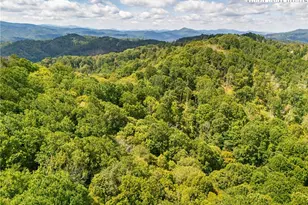 2811 Georges Gap Rd, Vilas, NC 28692 - Photo 46