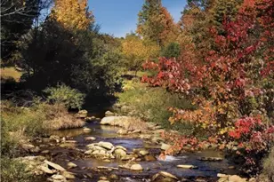 952 Sweetgrass Dr, Blowing Rock, NC 28605 - Photo 48