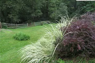 296 Silo Rd, Sparta, NC 28675 - Photo 2