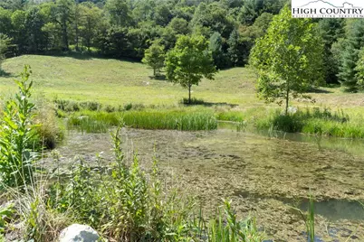 Tract 2 Sorrento Drive, Blowing Rock, NC 28605 - Photo 14