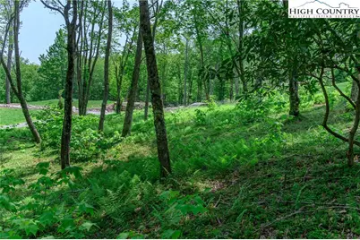 Es-30 Eagle Springs Trail, Banner Elk, NC 28604 - Photo 8