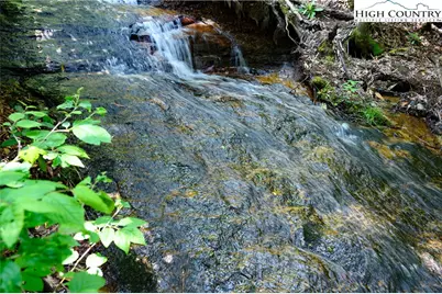 Es-30 Eagle Springs Trail, Banner Elk, NC 28604 - Photo 4