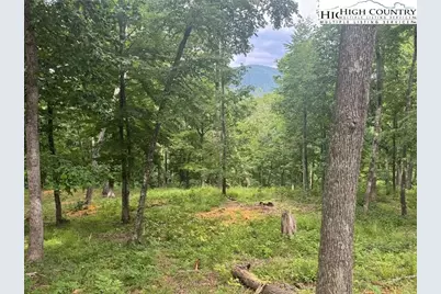 10 Autumn Lane, West Jefferson, NC 28694 - Photo 8