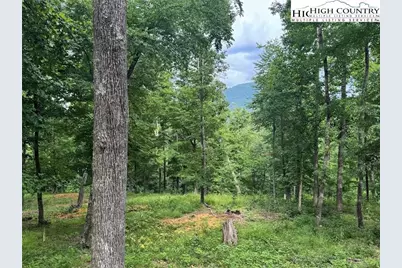 10 Autumn Lane, West Jefferson, NC 28694 - Photo 4