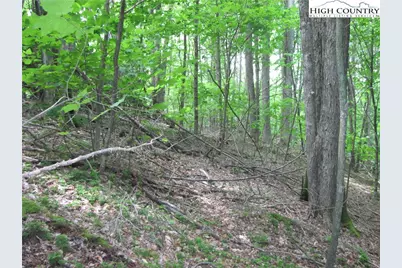 120 Sassafrass Rd, Beech Mountain, NC 28604 - Photo 2