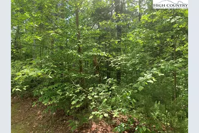 Lot 309, 1211 Winding Creek Way, Lenoir, NC 28645 - Photo 6