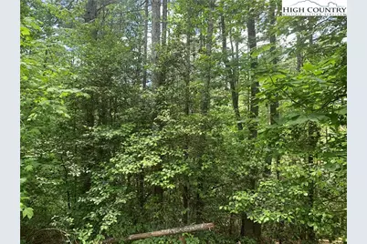 Lot 309, 1211 Winding Creek Way, Lenoir, NC 28645 - Photo 2