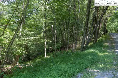 Lot 1 Wyeth Drive, Blowing Rock, NC 28605 - Photo 4
