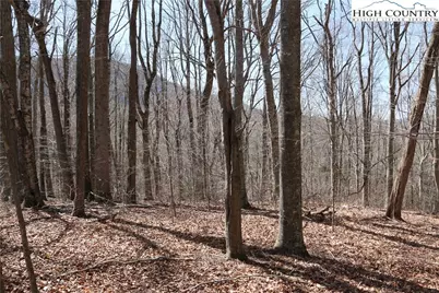 Tbd Ed Little Road, Warrensville, NC 28693 - Photo 8