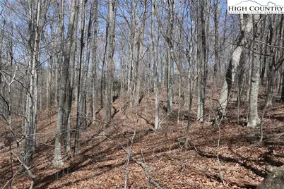 Tbd Ed Little Road, Warrensville, NC 28693 - Photo 6