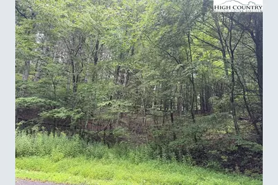 Tbd Nc Hwy 88 E, Laurel Springs, NC 28644 - Photo 16