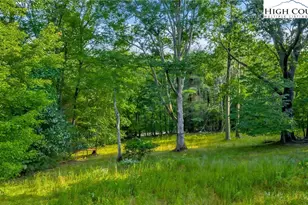 Tbd Nc Hwy 88 E, Laurel Springs, NC 28644 - Photo 1