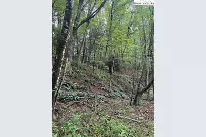 Tbd Nc Hwy 88 E, Laurel Springs, NC 28644 - Photo 14