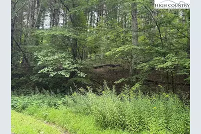 Tbd Nc Hwy 88 E, Laurel Springs, NC 28644 - Photo 26