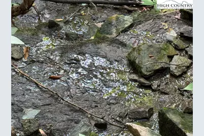 Tbd Dark Ridge Road, Elk Park, NC 28622 - Photo 4