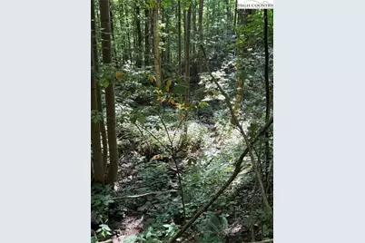 Tbd Dark Ridge Road, Elk Park, NC 28622 - Photo 20