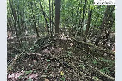 Tbd Dark Ridge Road, Elk Park, NC 28622 - Photo 2