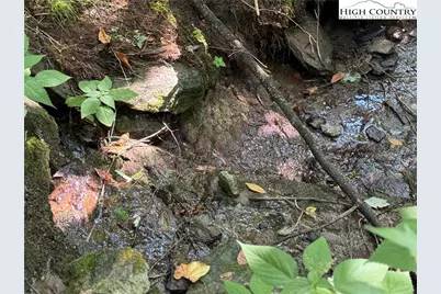 Tbd Dark Ridge Road, Elk Park, NC 28622 - Photo 8