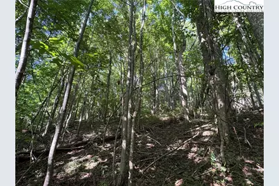 Tbd Dark Ridge Road, Elk Park, NC 28622 - Photo 16