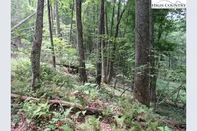 Tbd Jc Norton, Warrensville, NC 28693 - Photo 6