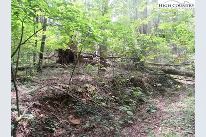 Tbd Jc Norton, Warrensville, NC 28693 - Photo 8