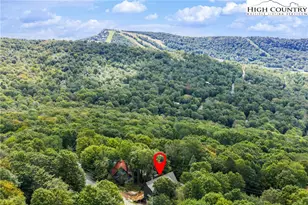 1017 Charter Hills Rd, Beech Mountain, NC 28604 - Photo 4