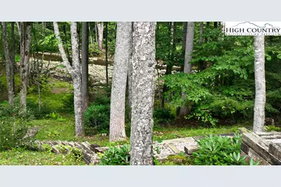 505 Tanglewood Cemetery Road, Linville, NC 28646 - Photo 2