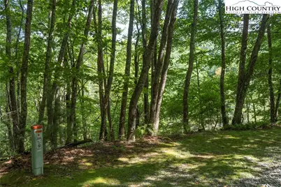 Lot 2 Wyeth Drive, Blowing Rock, NC 28605 - Photo 4