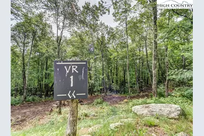 Vr1 Red Sky Parkway, Elk Park, NC 28622 - Photo 4