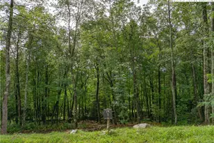 Vr1 Red Sky Pkwy, Elk Park, NC 28622 - Photo 1