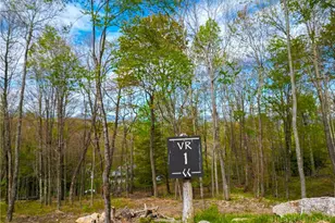 Vr1 Red Sky Pkwy, Elk Park, NC 28622 - Photo 1