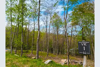 Vr1 Red Sky Parkway, Elk Park, NC 28622 - Photo 10