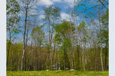 Vr1 Red Sky Parkway, Elk Park, NC 28622 - Photo 2