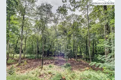 Vr1 Red Sky Parkway, Elk Park, NC 28622 - Photo 2