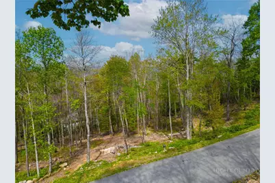 Vr1 Red Sky Parkway, Elk Park, NC 28622 - Photo 4