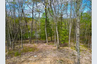 Vr1 Red Sky Parkway, Elk Park, NC 28622 - Photo 18