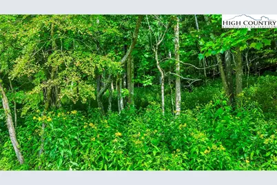 Tbd 2 Christmas Mountain Lane, Fleetwood, NC 28626 - Photo 2