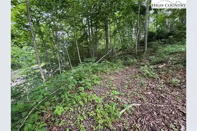 Tbd Wishing Waters Edge, Creston, NC 28615 - Photo 8