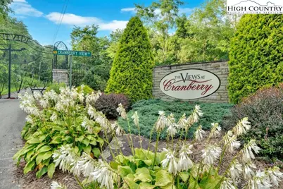 409 Jewelweed Trail, Newland, NC 28657 - Photo 10