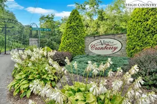 409 Jewel Weed Trl, Newland, NC 28657 - Photo 10